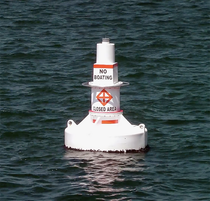 Buoy